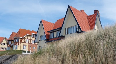 De haan