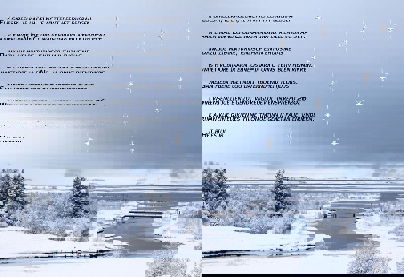 Nieuwjaarswens Neoske