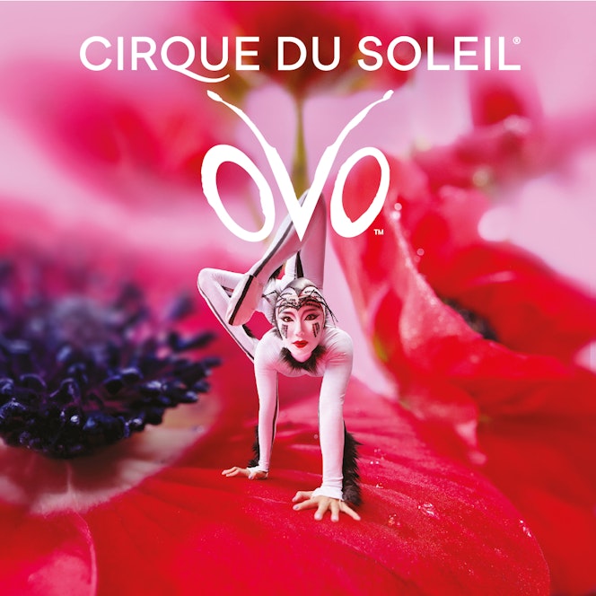 OVO Cirque Du Soleil Jpeg.1