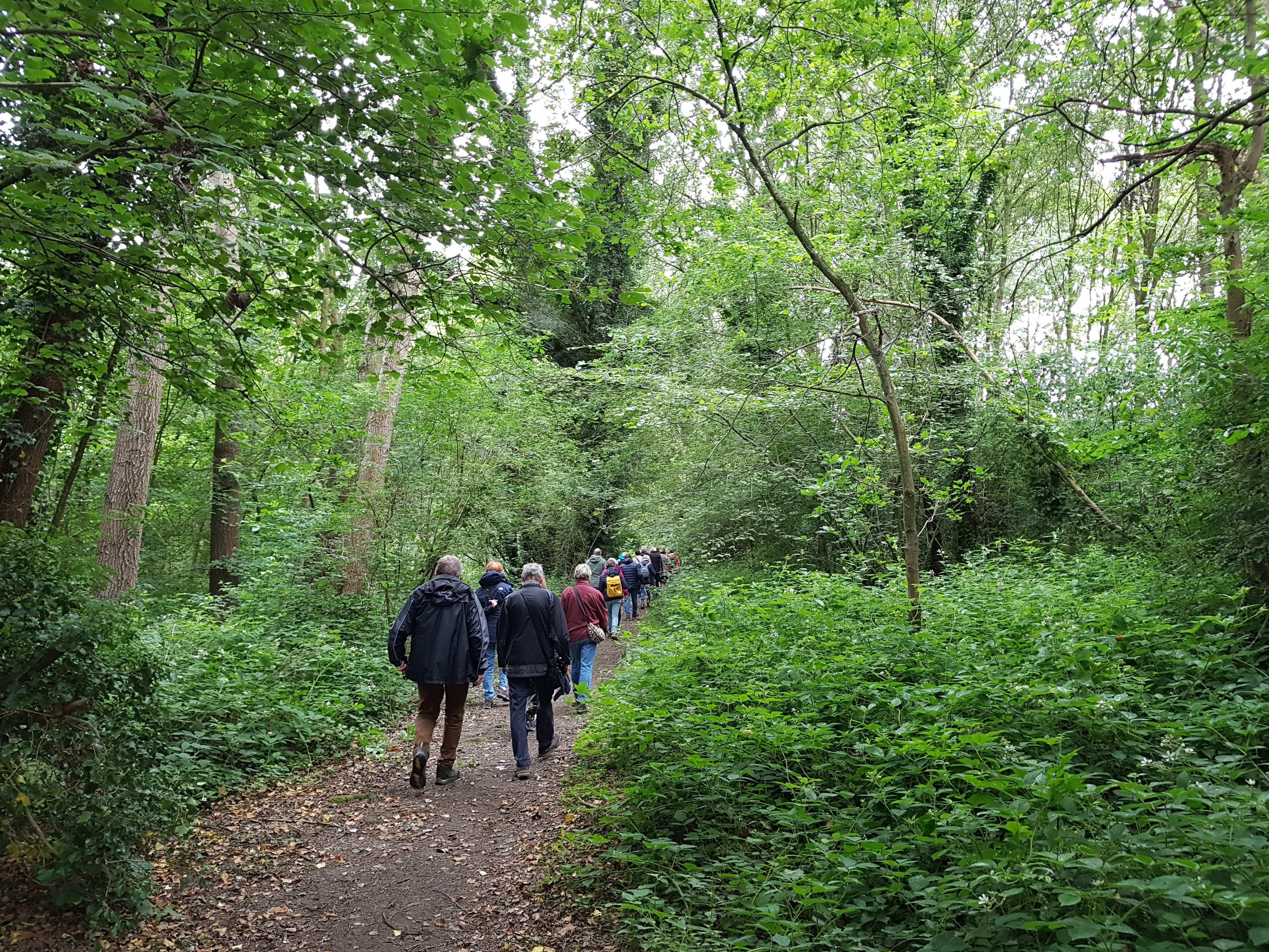 2026-06-11  /  Wandeling in Munte