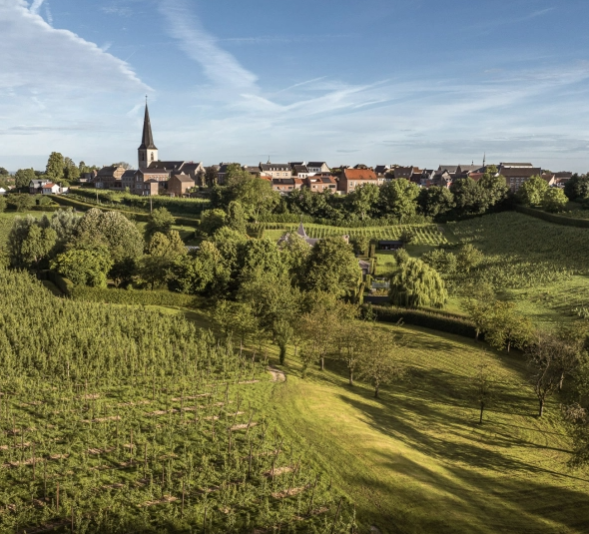 Foto Wandelen In Borgloon