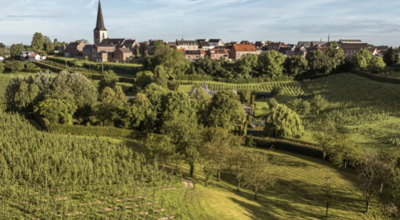 Foto Wandelen In Borgloon