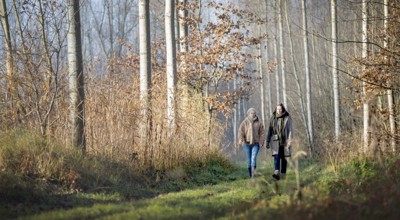Wandelen