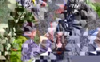 IMG 20250627 WA0002