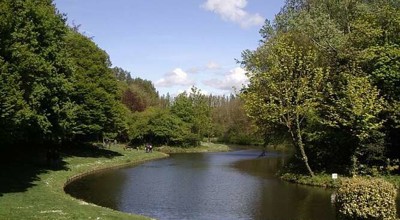 Le Bois des Forts