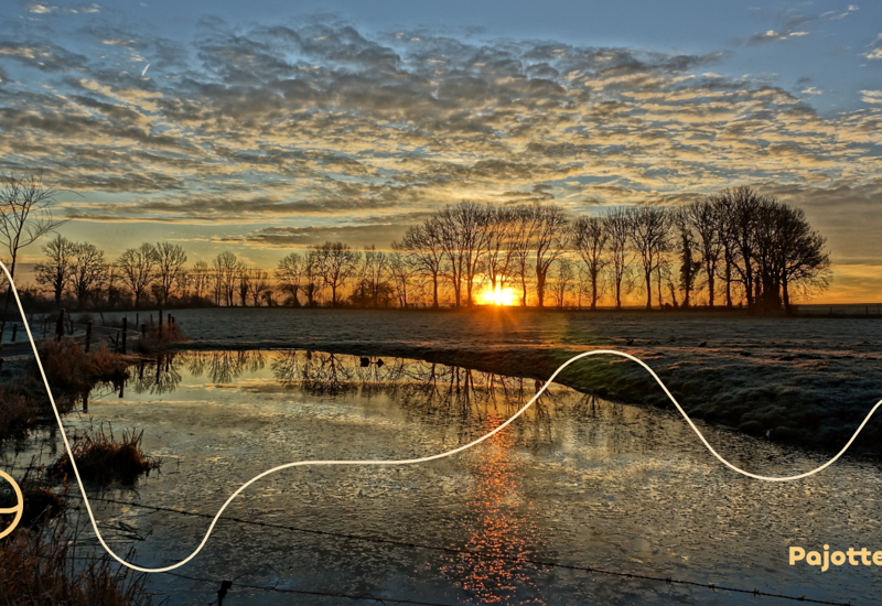Beeld Logo Website