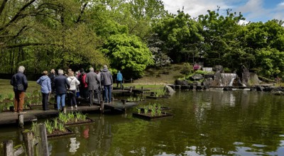 Japanse Tuin