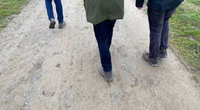 IMG 0354