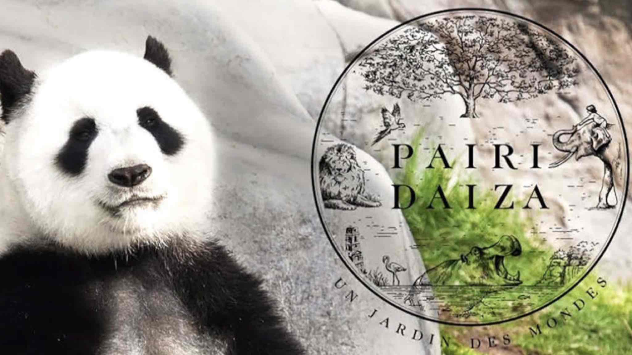 01 Pairi Daiza 2026