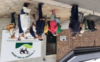 Kaasboerderij 2