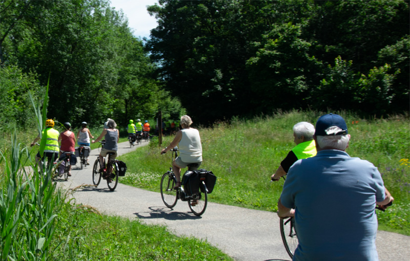 Fietstocht Hulst