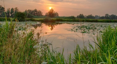 20260409 Kalkensemeerseen