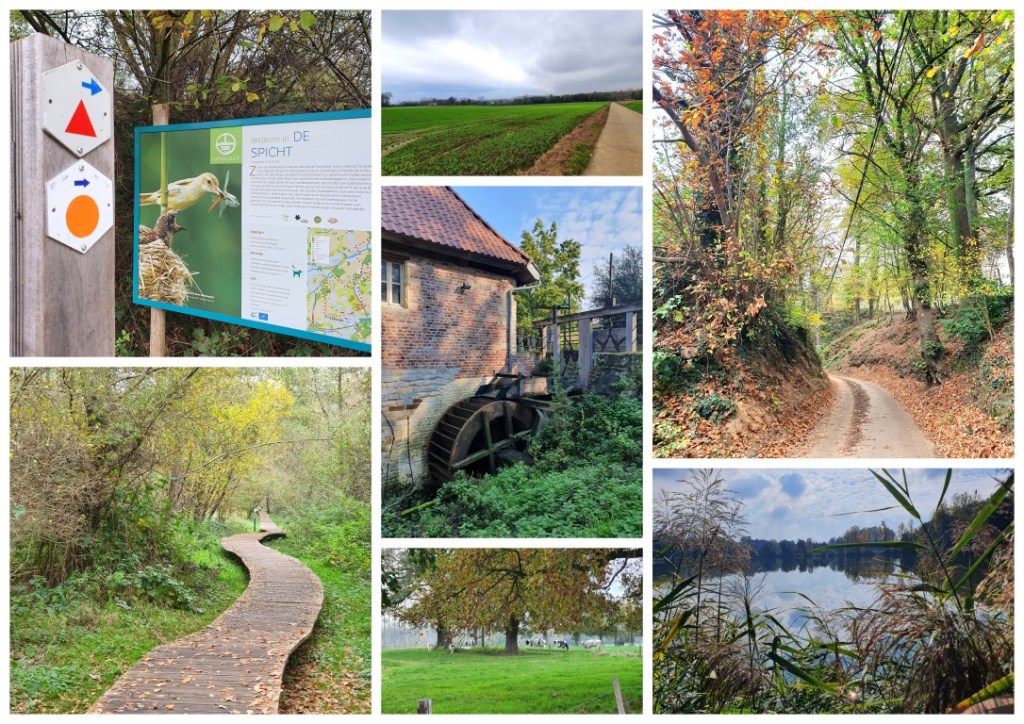 Lubbeek Collage M