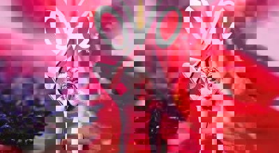 Cirque du Soleil OVO