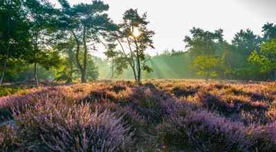 Wandeling Domein de Liereman