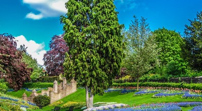 921563 Gardens 717425