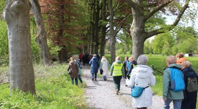 Wandeling