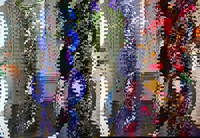IMG 20250926 WA0005