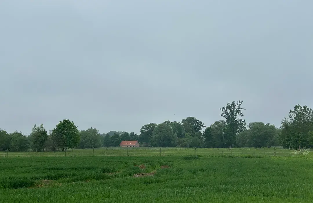 260604 Watervalbos