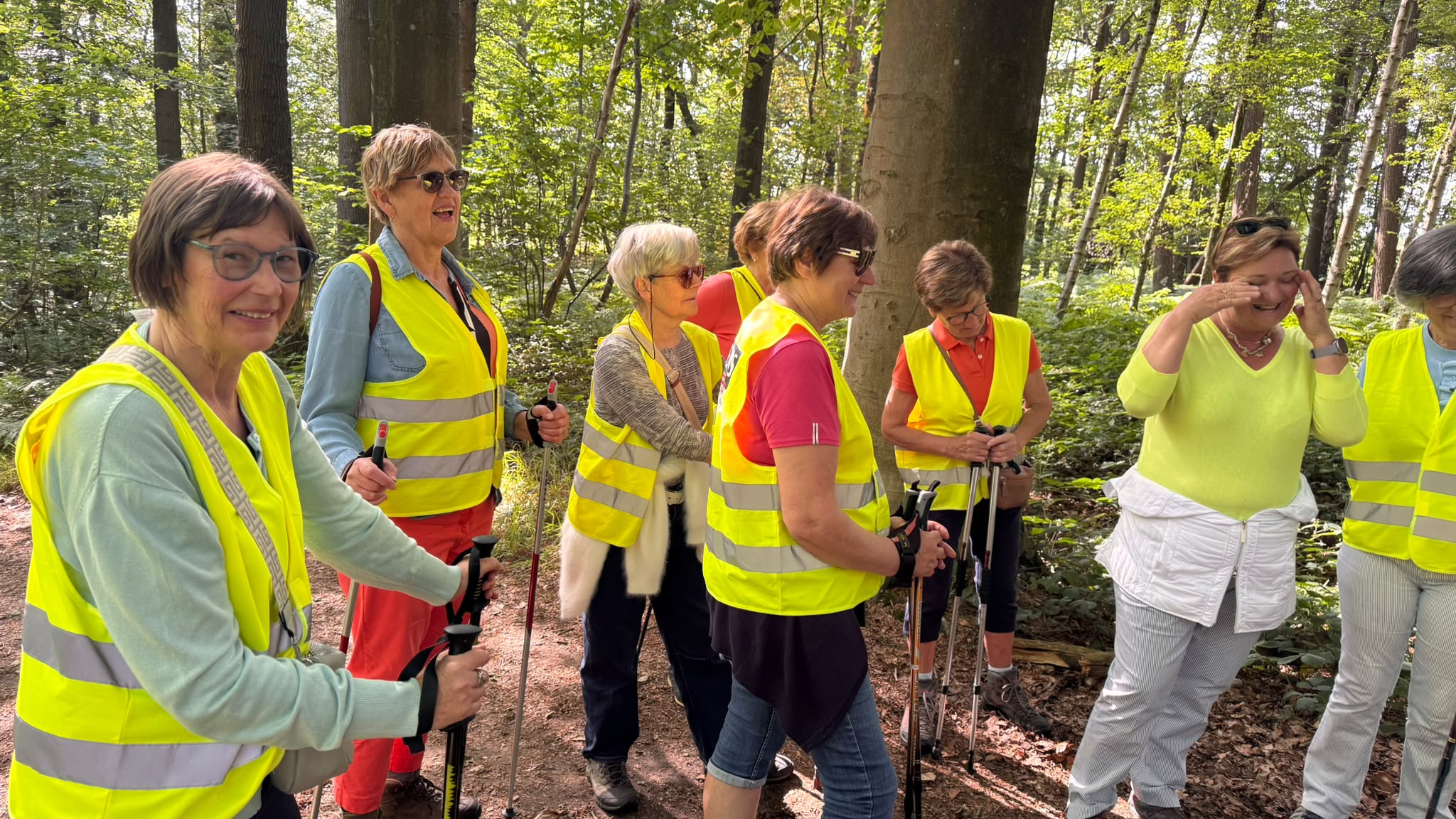 Nordic Walking 15 juni 2026 - Gasthuisbossen