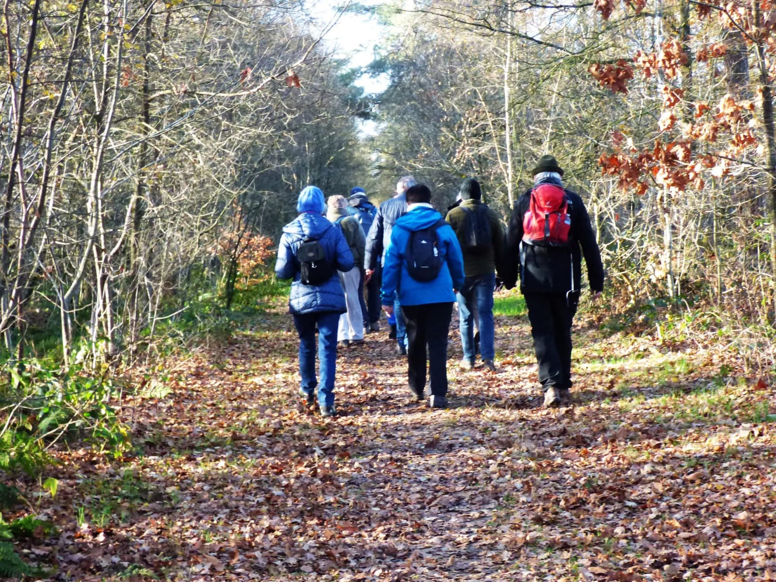 Dagwandeltocht 20251204