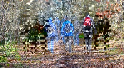 Dagwandeltocht 20251204