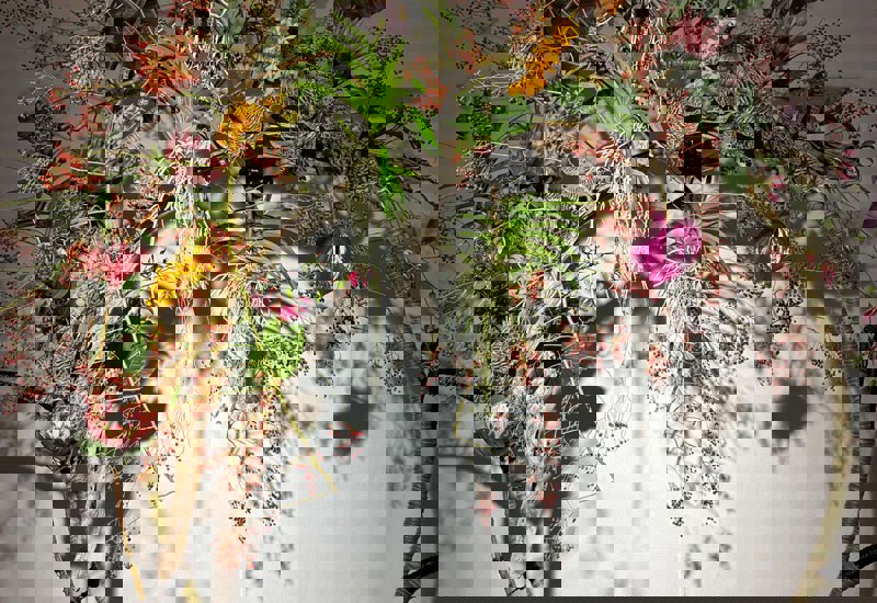 IMG 20250926 WA0017