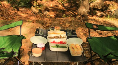 Picknick