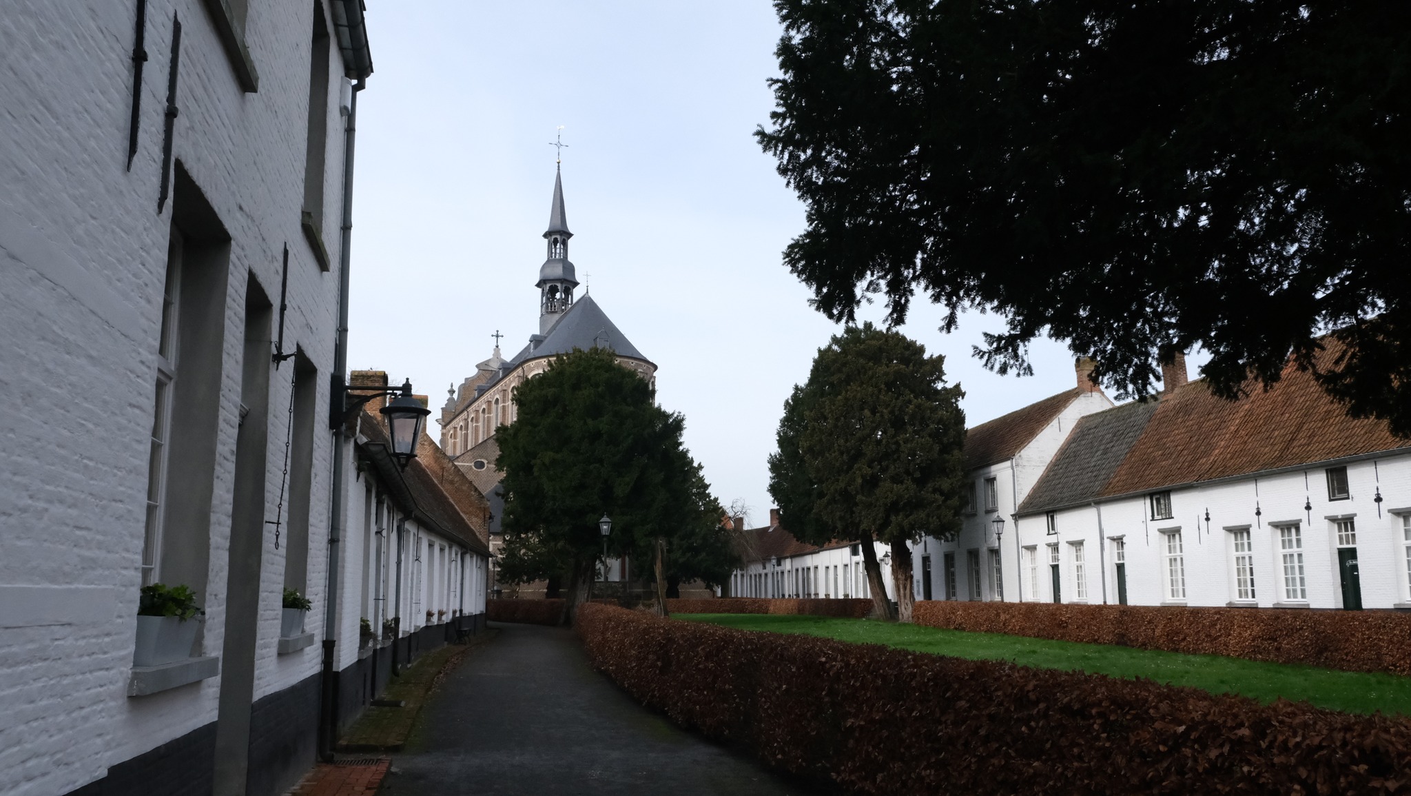 484976410 1071039651730294 5215000530263660500 N