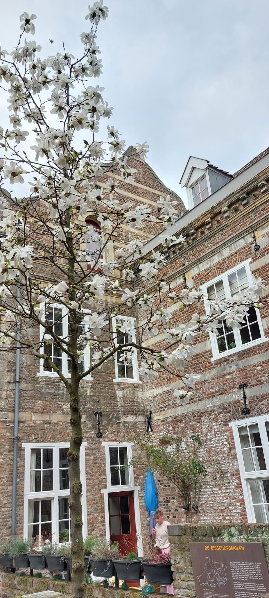 Whatsapp Image 2026 03 10 At 20.57.03 (5)