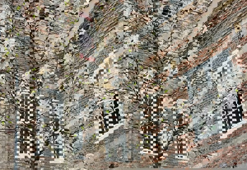 Whatsapp Image 2026 03 10 At 20.57.03 (5)