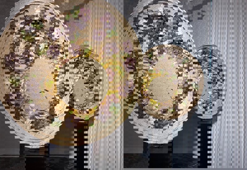 IMG 20250926 WA0006