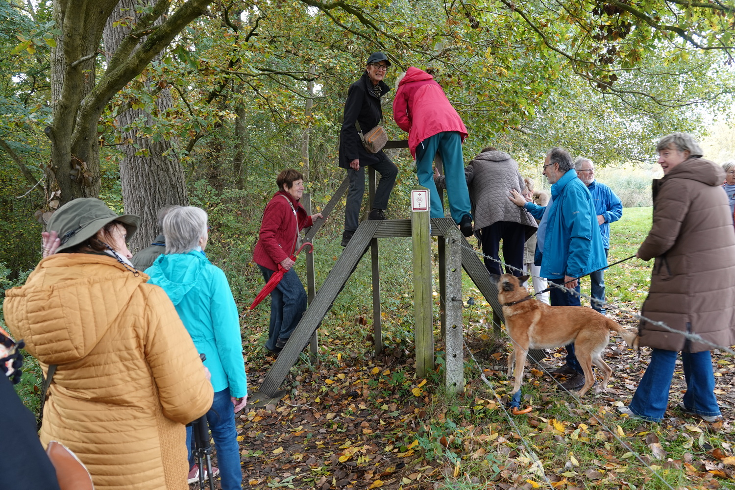 BEE2025 10 21 15 30 06 074 1000