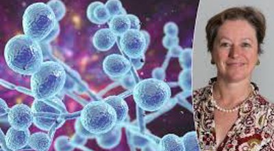 Schimmels Katrien Lagrou