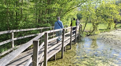 wandelingen