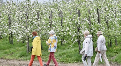 F15333ed 905E 4C13 93Cc 7A3bb45bb4dc 1 105 C