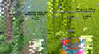 502587438 1164606545467207 9023970258974653293 N