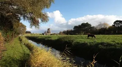 Zomerse wandeling