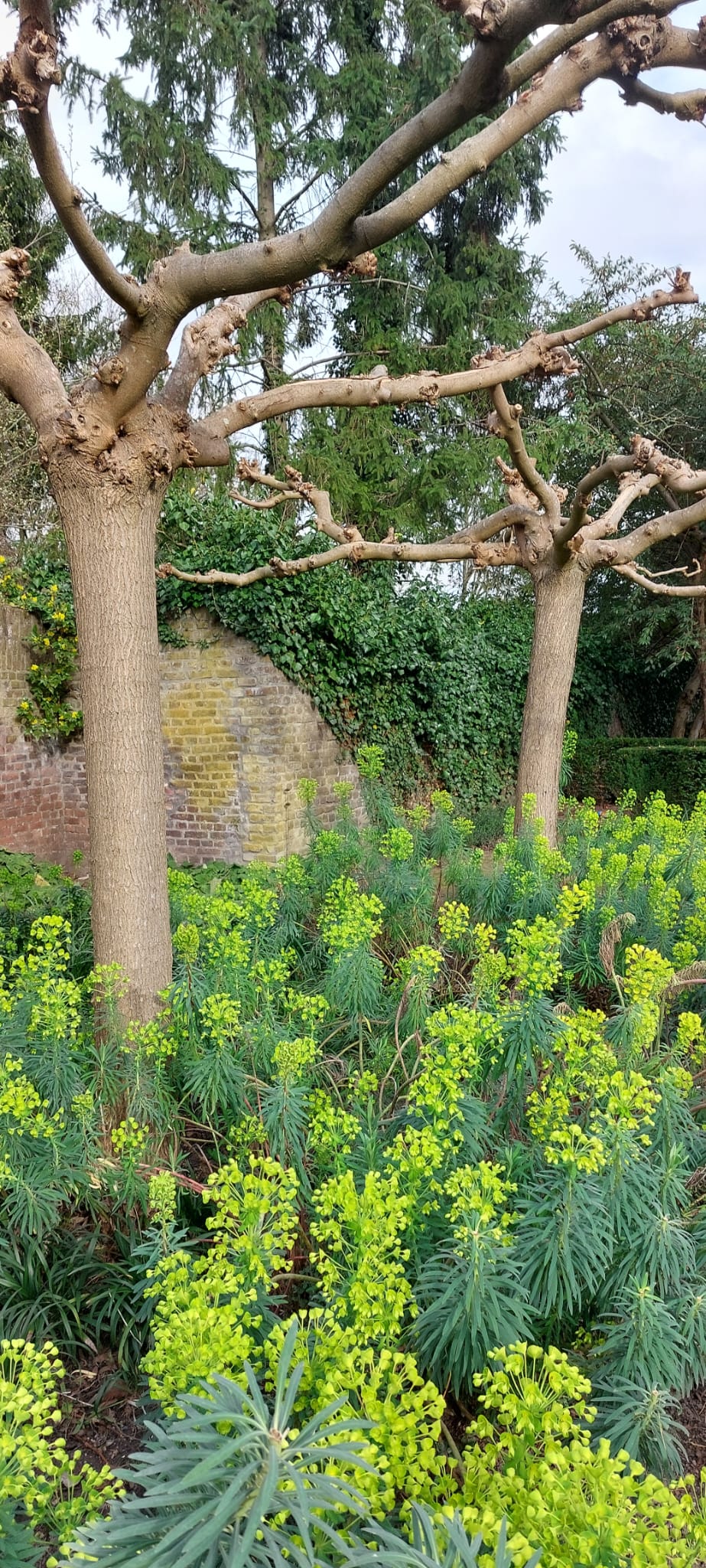 Whatsapp Image 2026 03 10 At 20.57.00