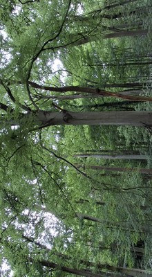 20250518 154007 (002)