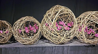 2026 05 07 Floralien