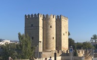 Cordoba l