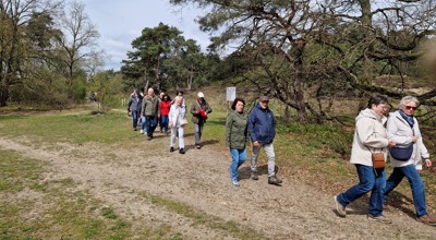 20260410 Wandeling Melberg