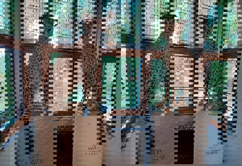 IMG 20250916 WA0014
