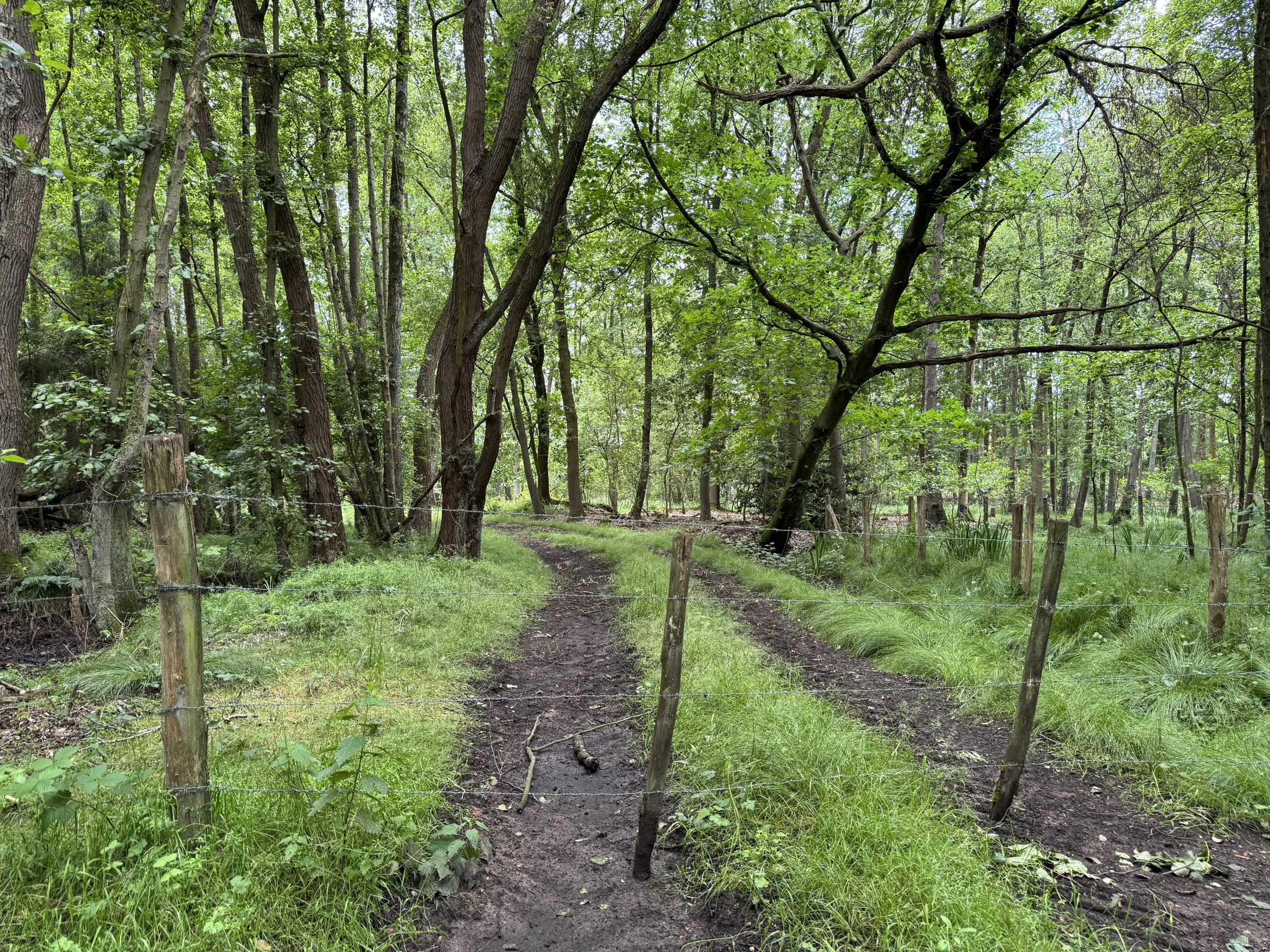 20260610 Wandeling Stropersbos