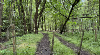 20260610 Wandeling Stropersbos