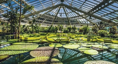 Plantentuin Meise