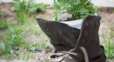 Depositphotos 10949882 Stock Photo Old Shoe Used In Garden