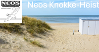 Strand met vogel