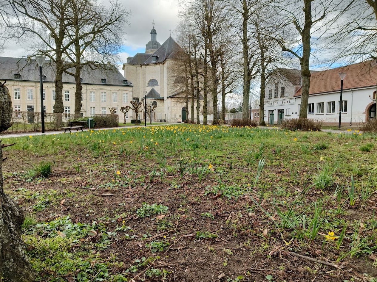 abdij met paasbloemen